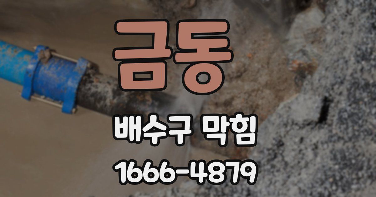 금동 배수구 막힘