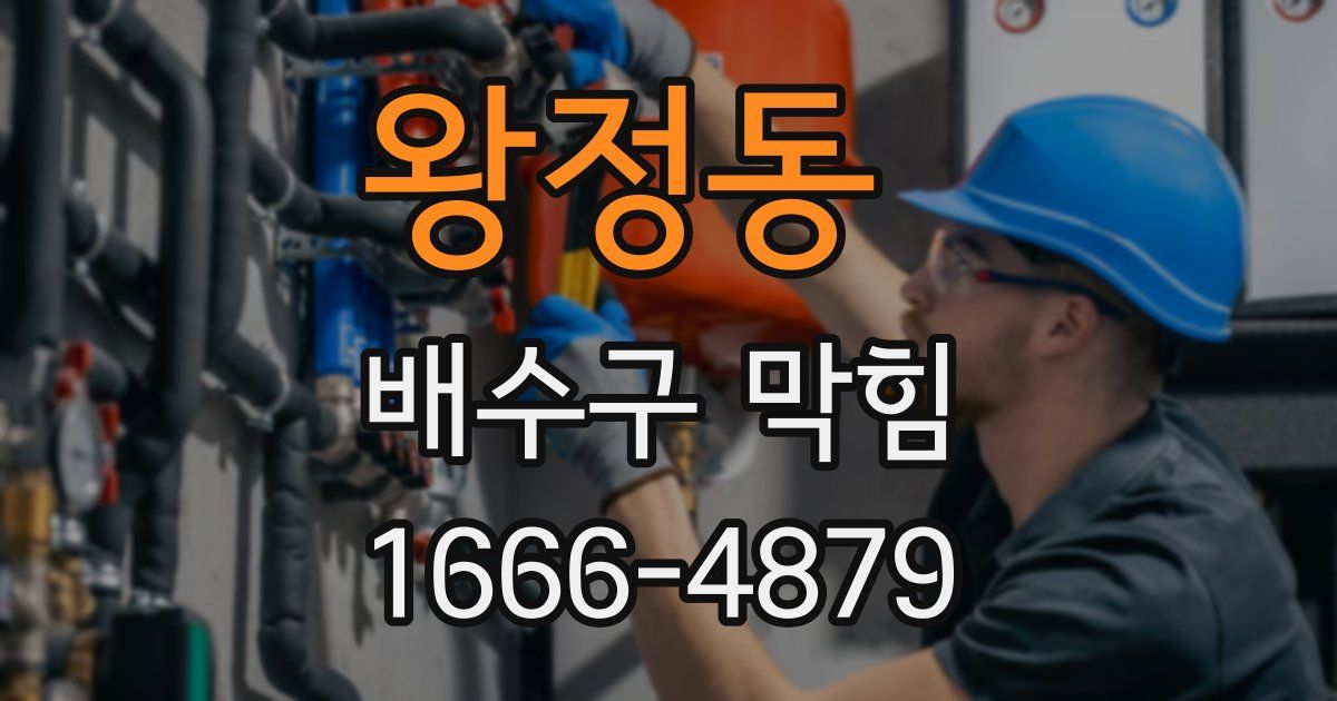 왕정동 배수구 막힘