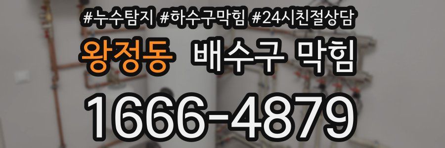 왕정동 배수구 막힘