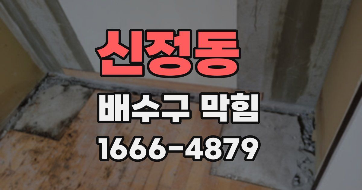 신정동 배수구 막힘