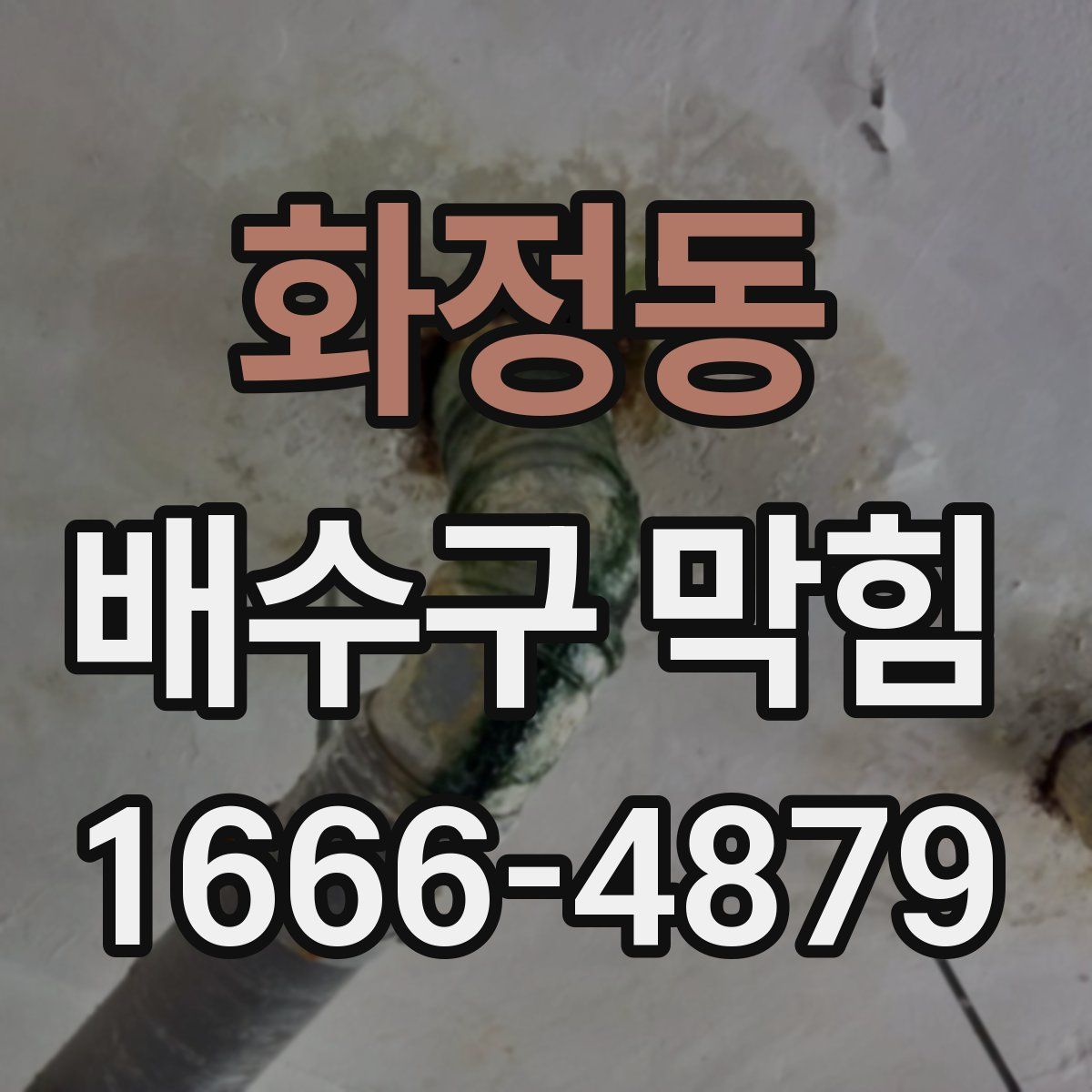 화정동 배수구 막힘