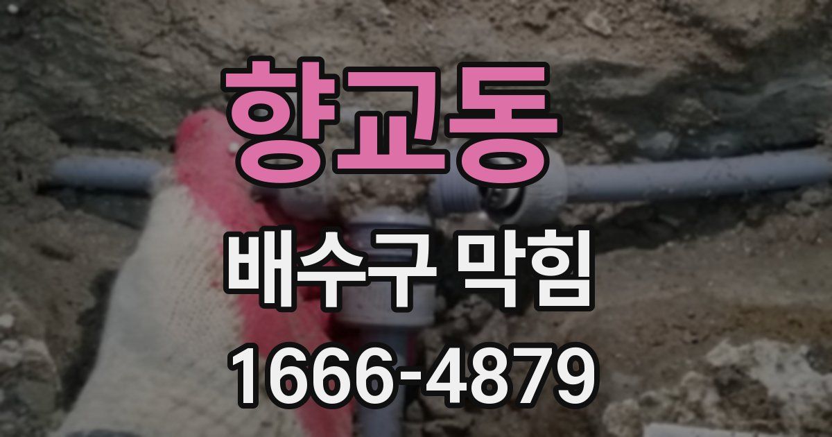 향교동 배수구 막힘