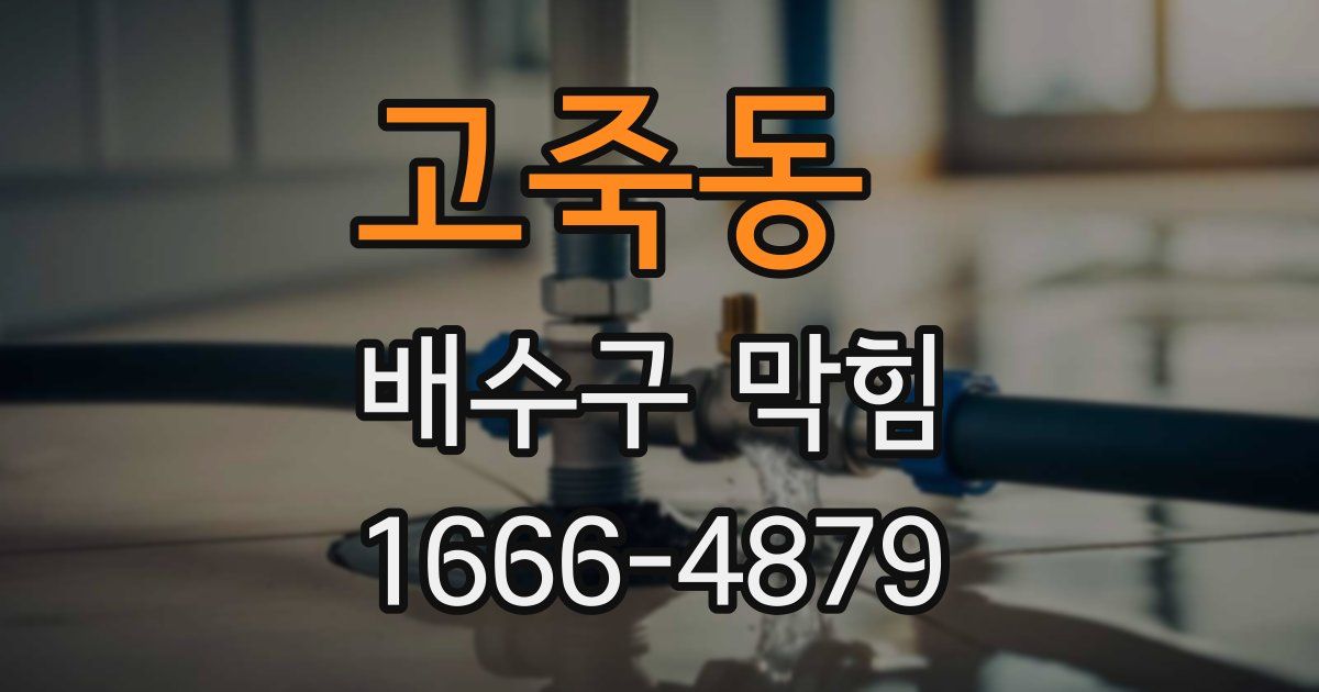 고죽동 배수구 막힘