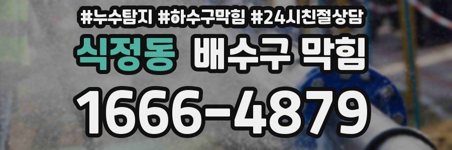 식정동 배수구 막힘