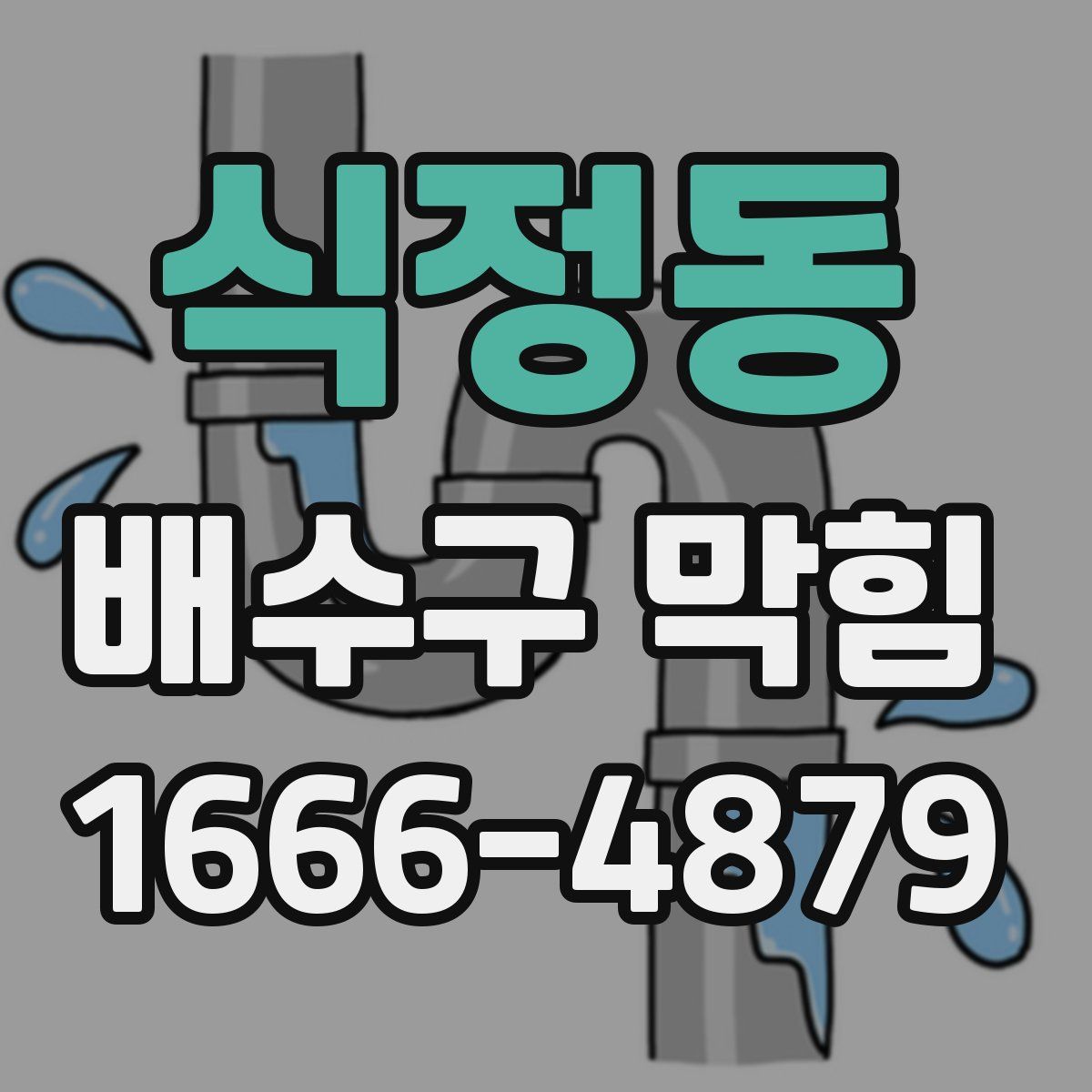 식정동 배수구 막힘
