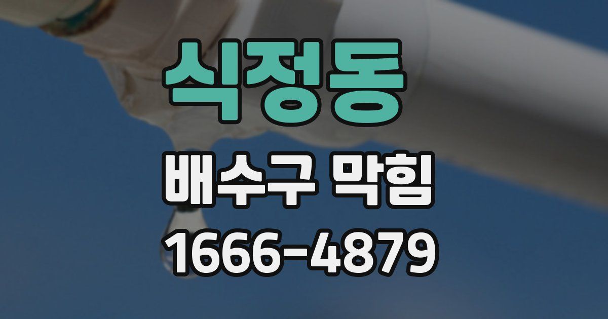 식정동 배수구 막힘