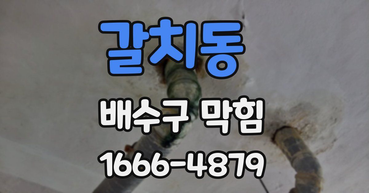 갈치동 배수구 막힘