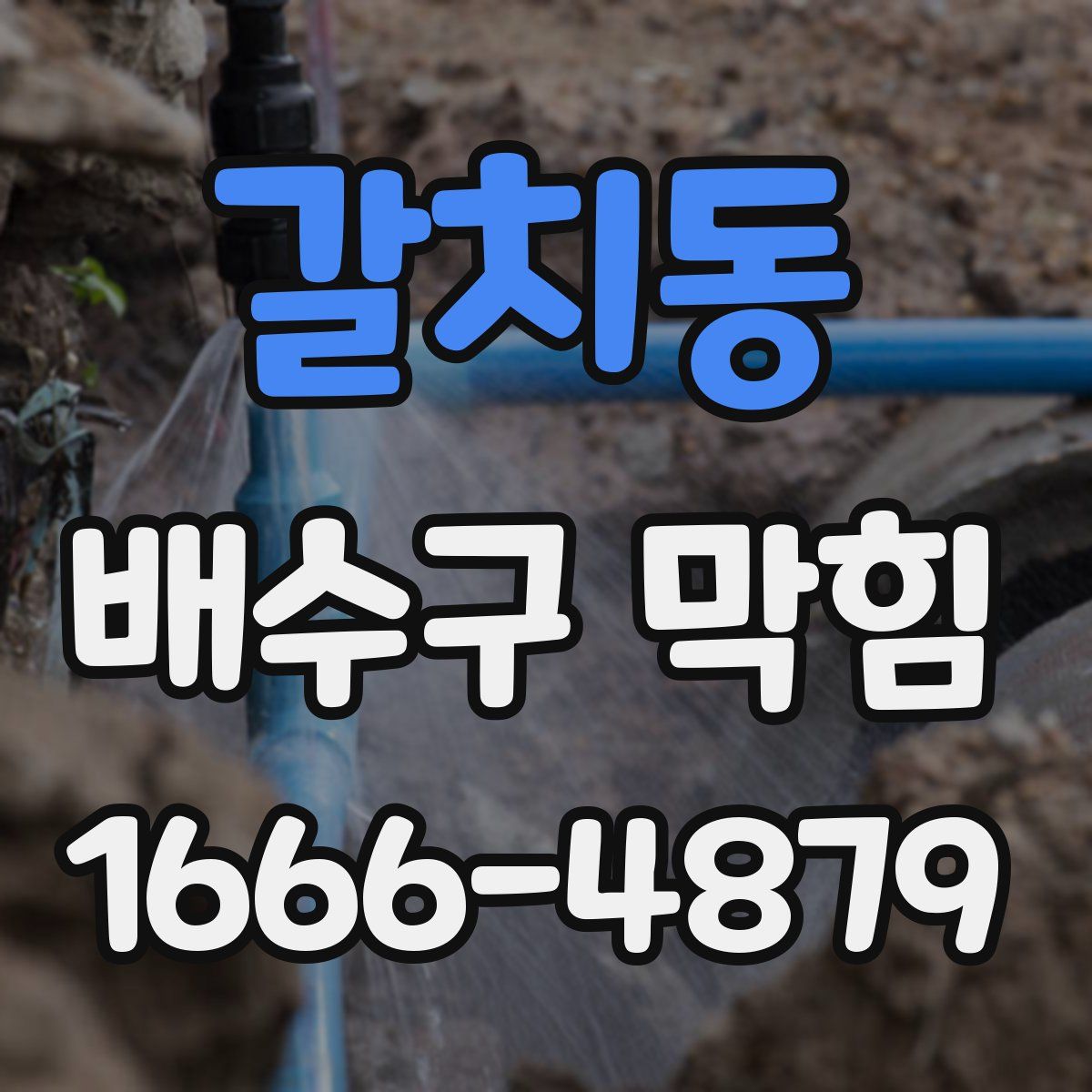 갈치동 배수구 막힘