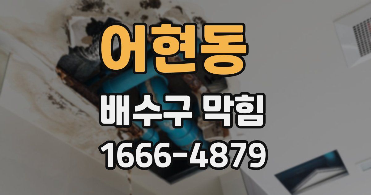 어현동 배수구 막힘