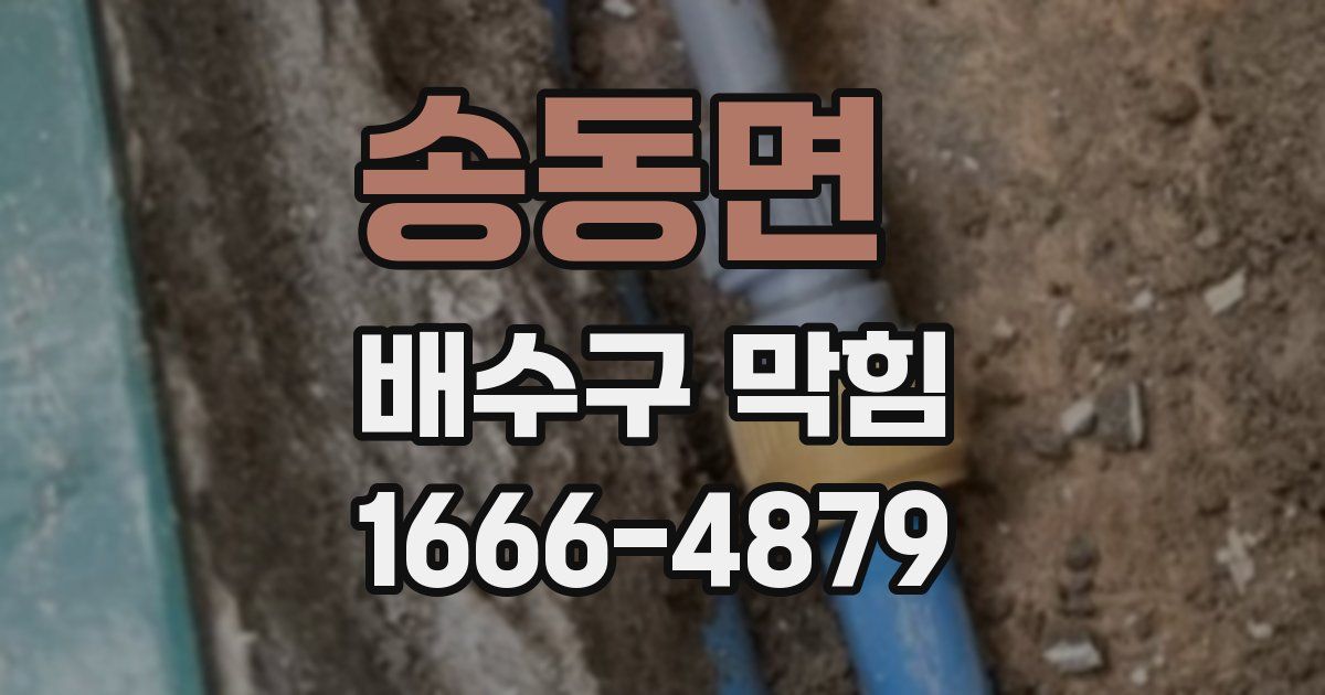 송동면 배수구 막힘