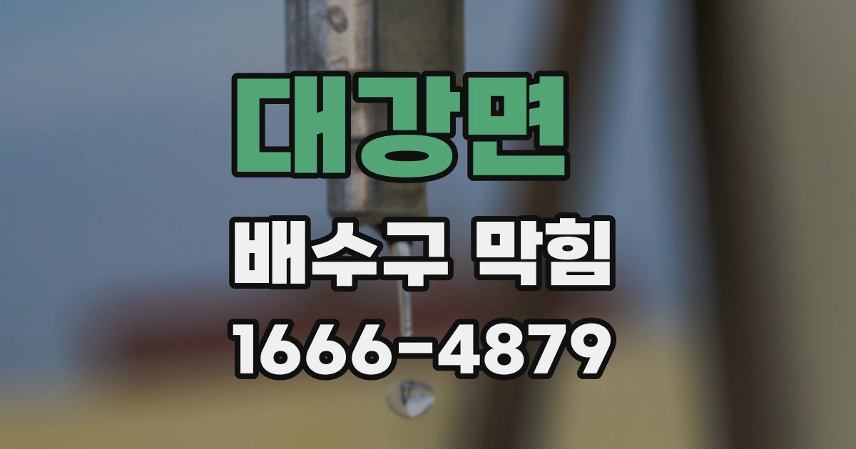 대강면 배수구 막힘