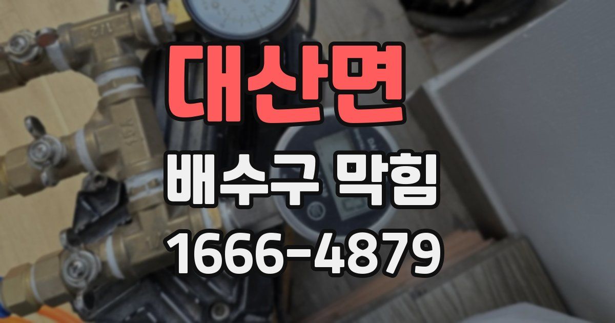 대산면 배수구 막힘