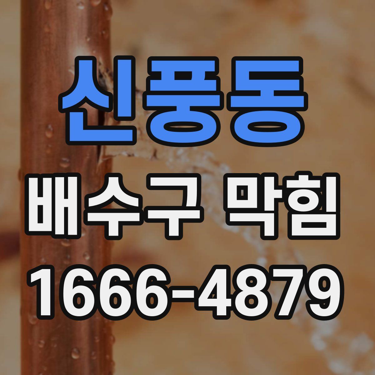 신풍동 배수구 막힘