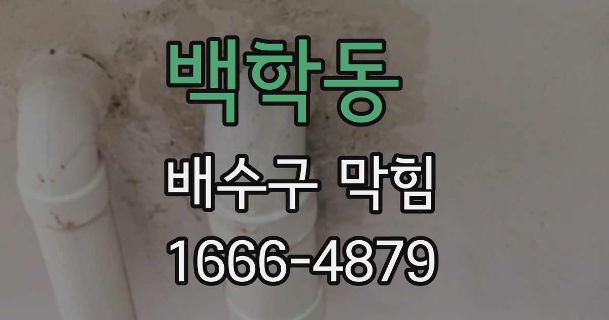 백학동 배수구 막힘