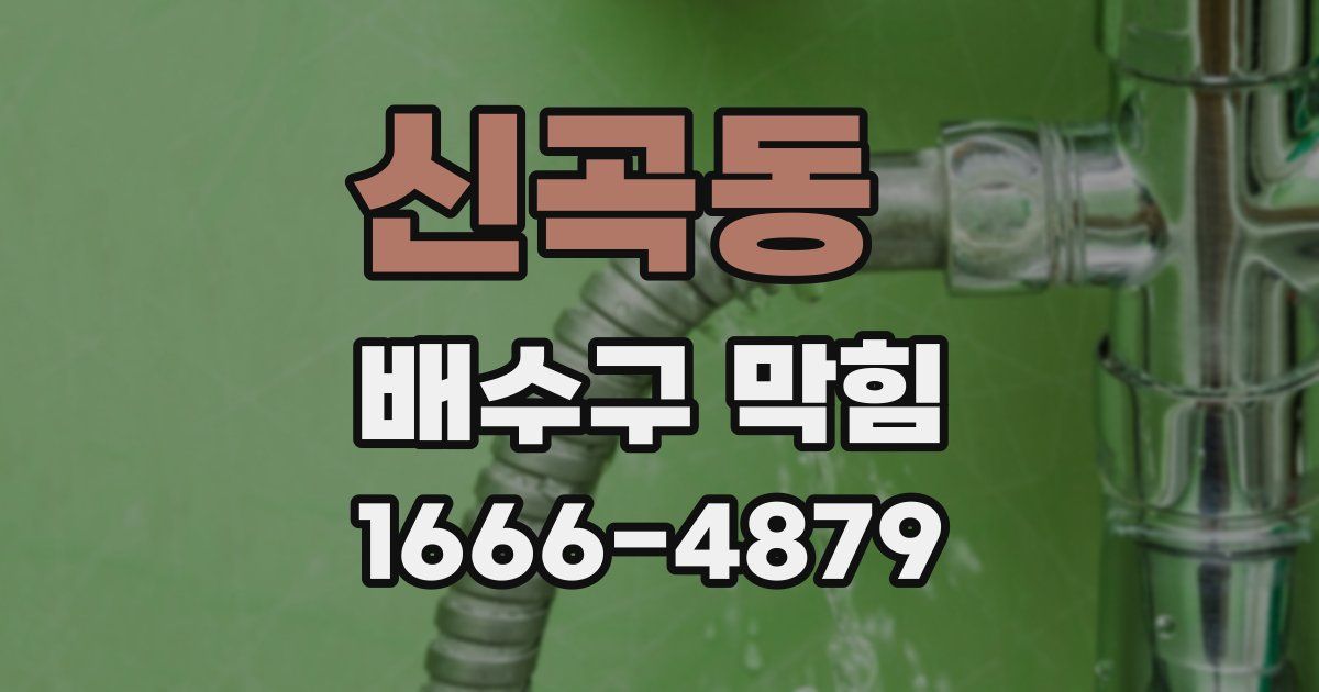 신곡동 배수구 막힘