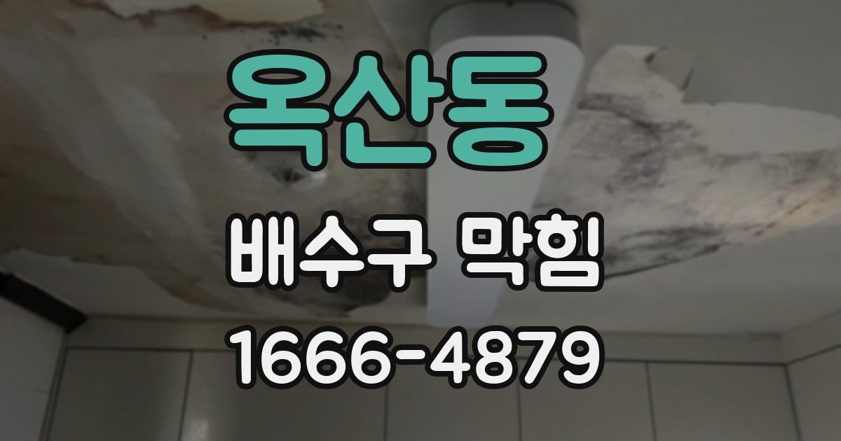 옥산동 배수구 막힘