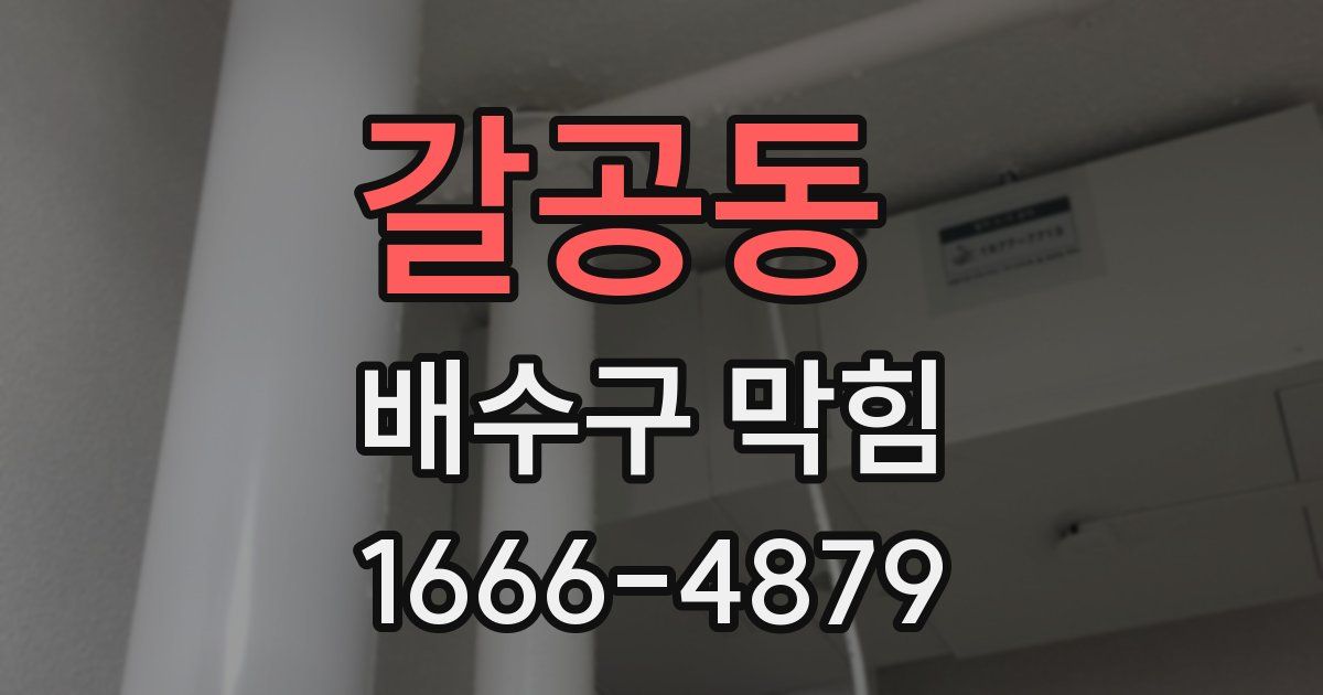 갈공동 배수구 막힘