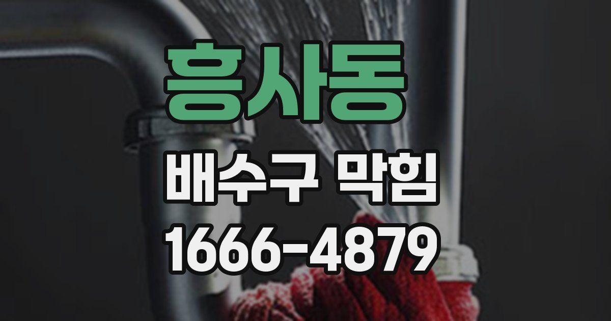 흥사동 배수구 막힘
