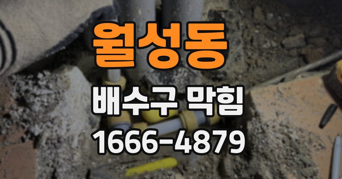 월성동 배수구 막힘