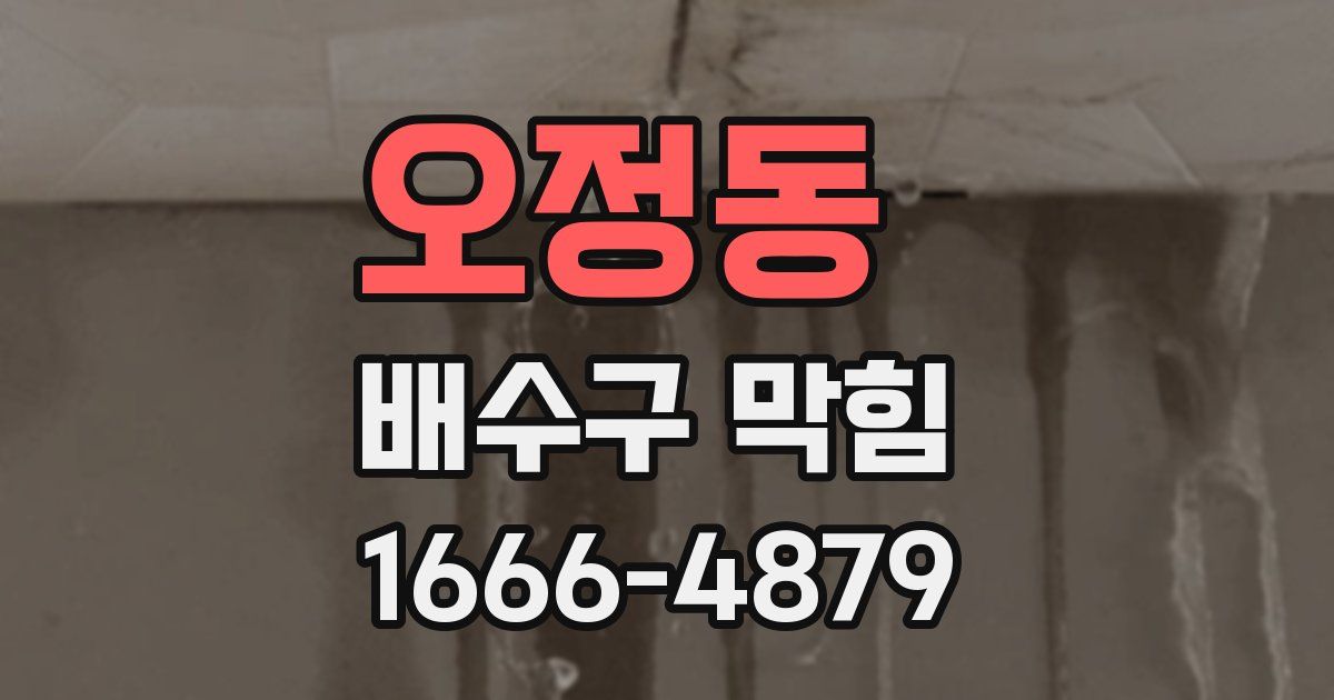 오정동 배수구 막힘