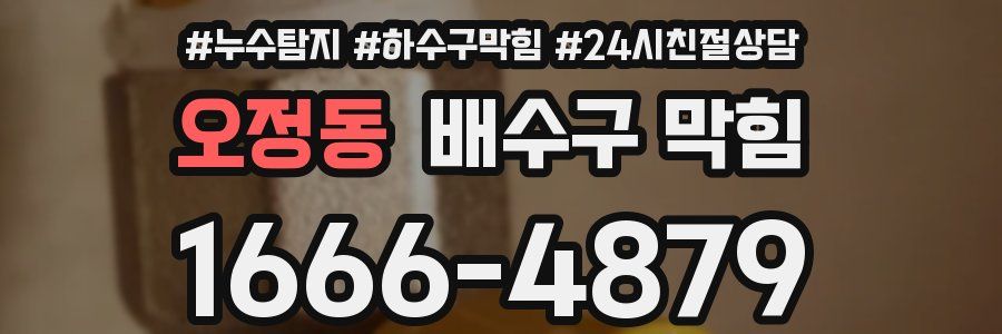 오정동 배수구 막힘