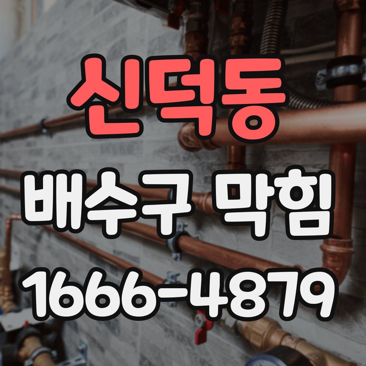 신덕동 배수구 막힘