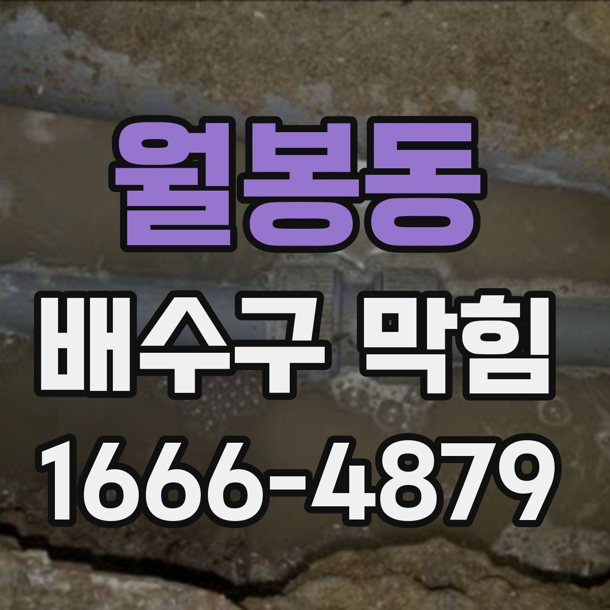 월봉동 배수구 막힘