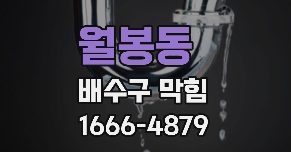 월봉동 배수구 막힘