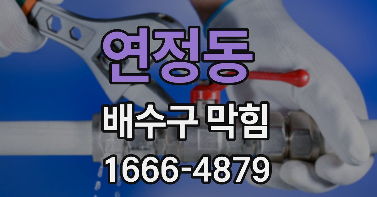 연정동 배수구 막힘