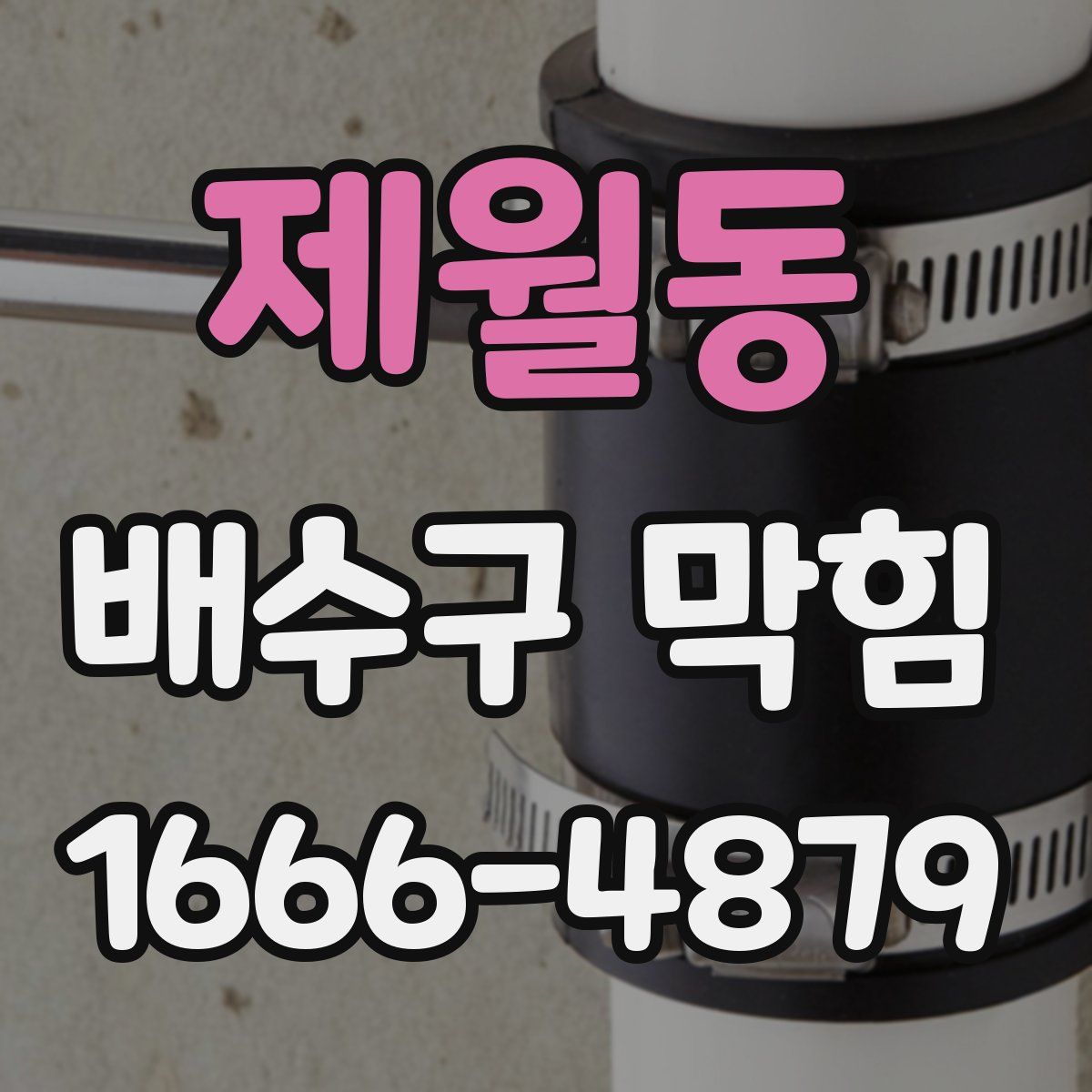 제월동 배수구 막힘
