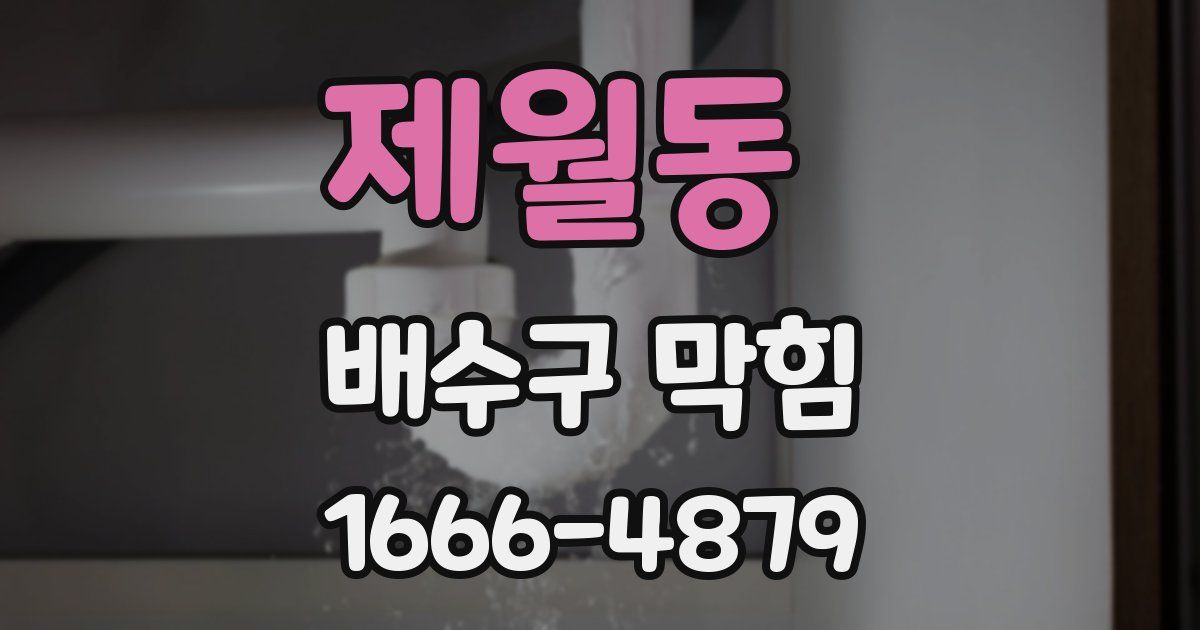 제월동 배수구 막힘