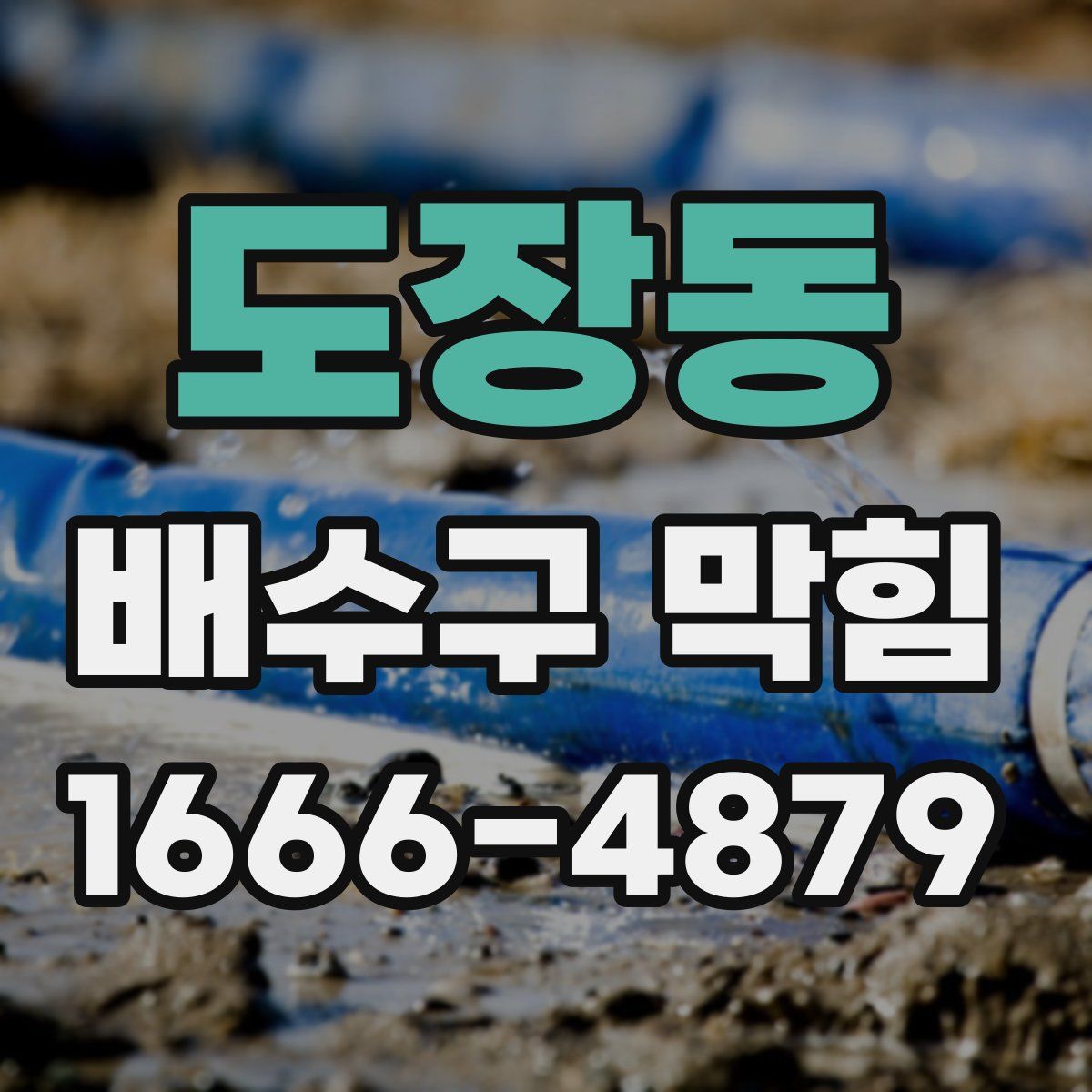 도장동 배수구 막힘