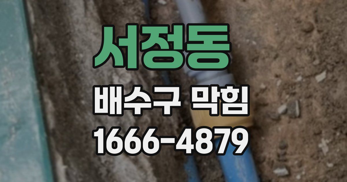 서정동 배수구 막힘