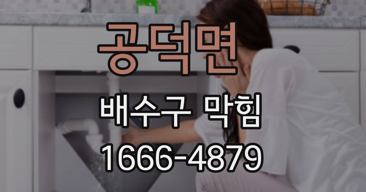 공덕면 배수구 막힘
