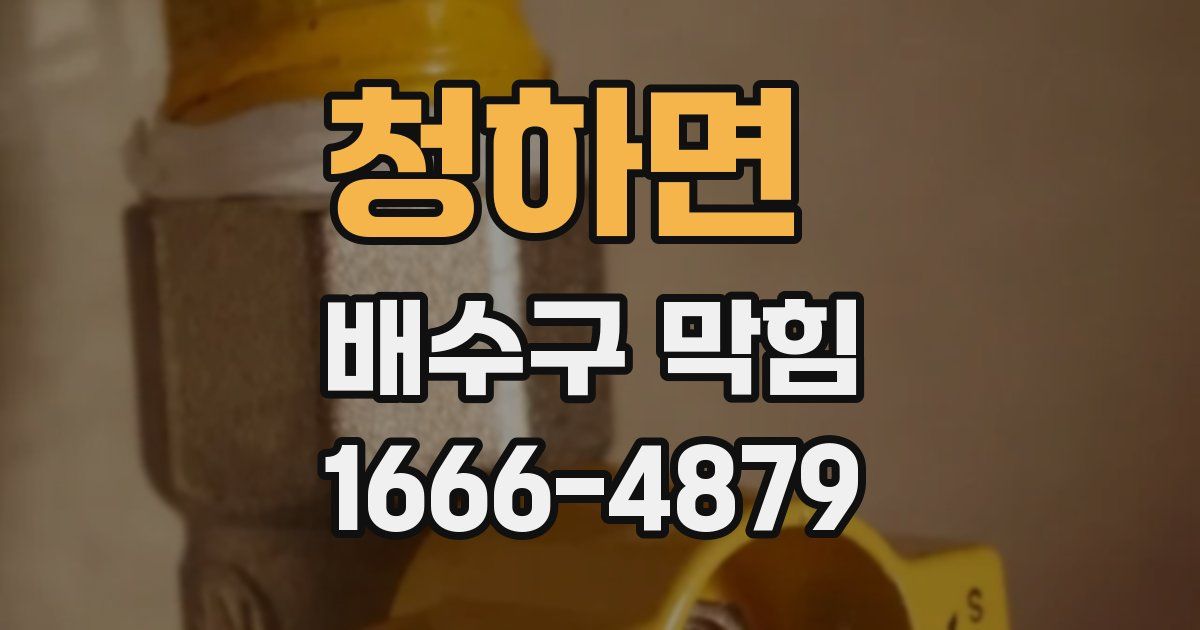 청하면 배수구 막힘