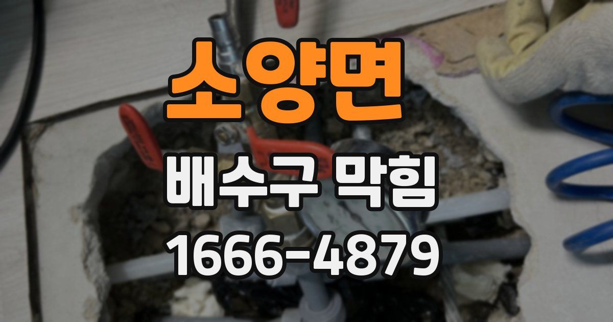 소양면 배수구 막힘