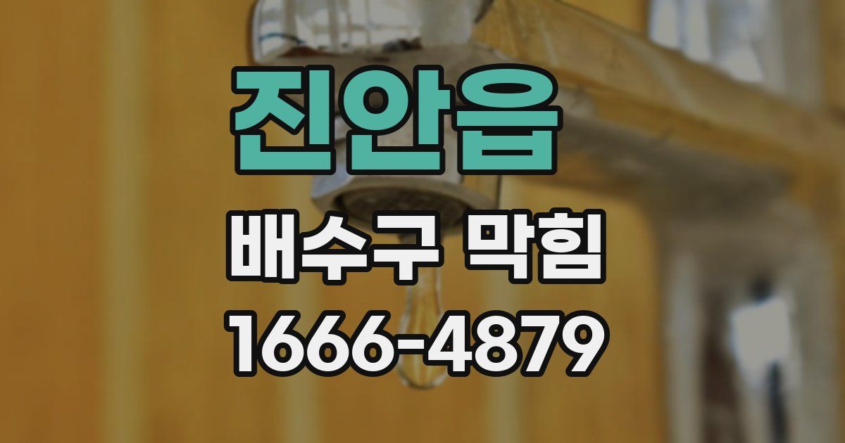 진안읍 배수구 막힘
