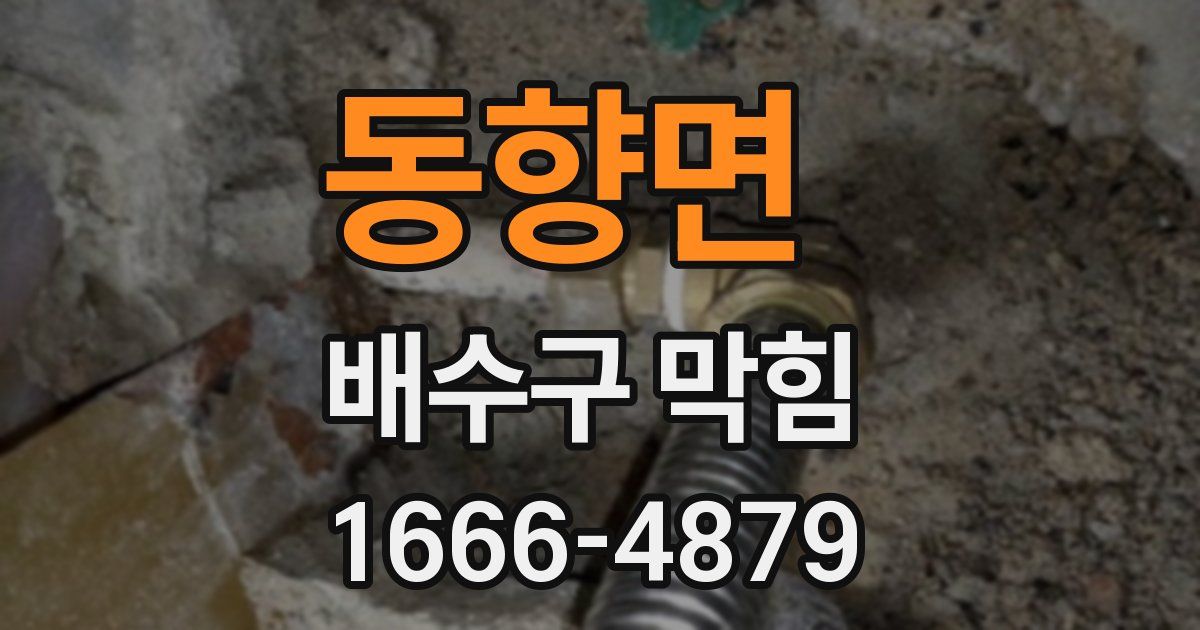 동향면 배수구 막힘