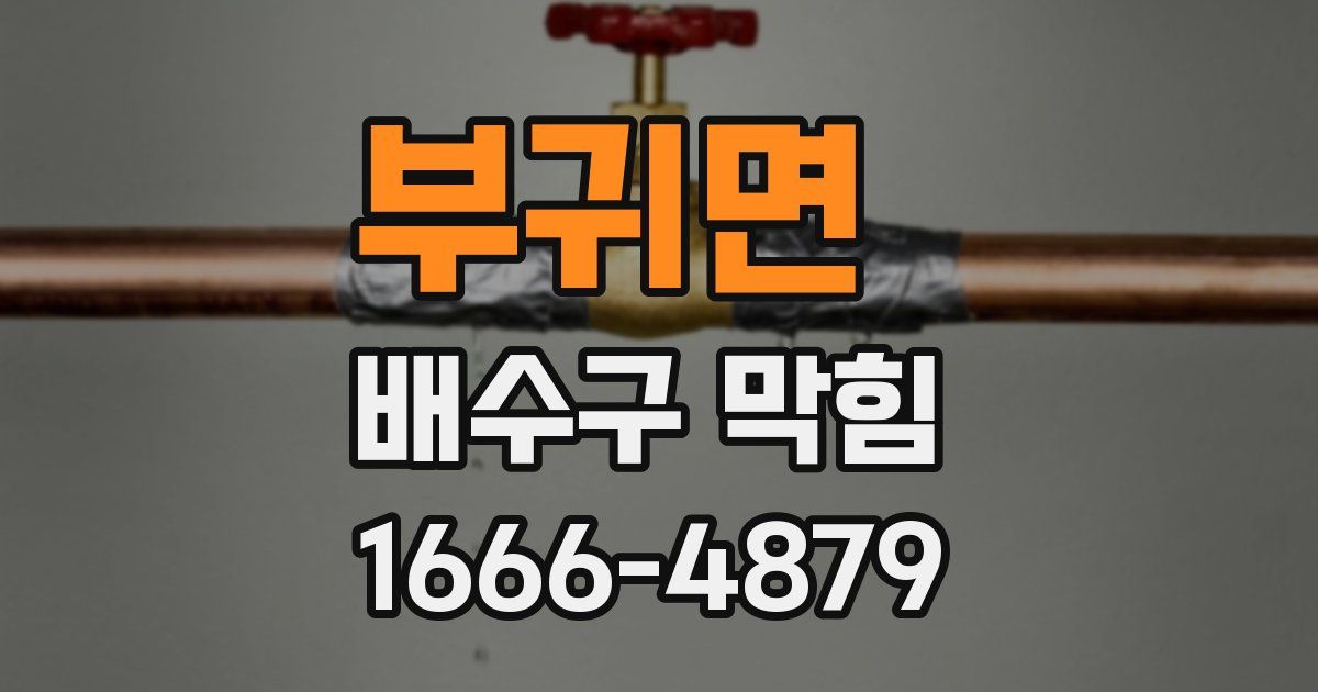 부귀면 배수구 막힘