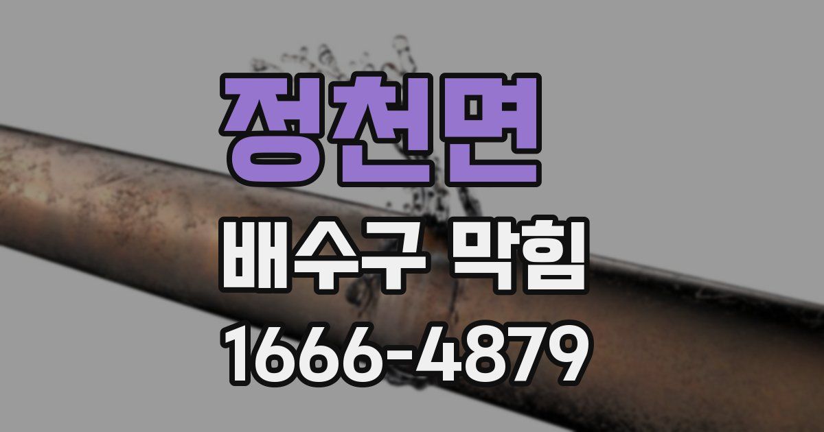정천면 배수구 막힘