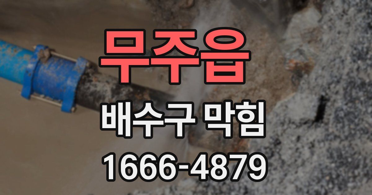 무주읍 배수구 막힘