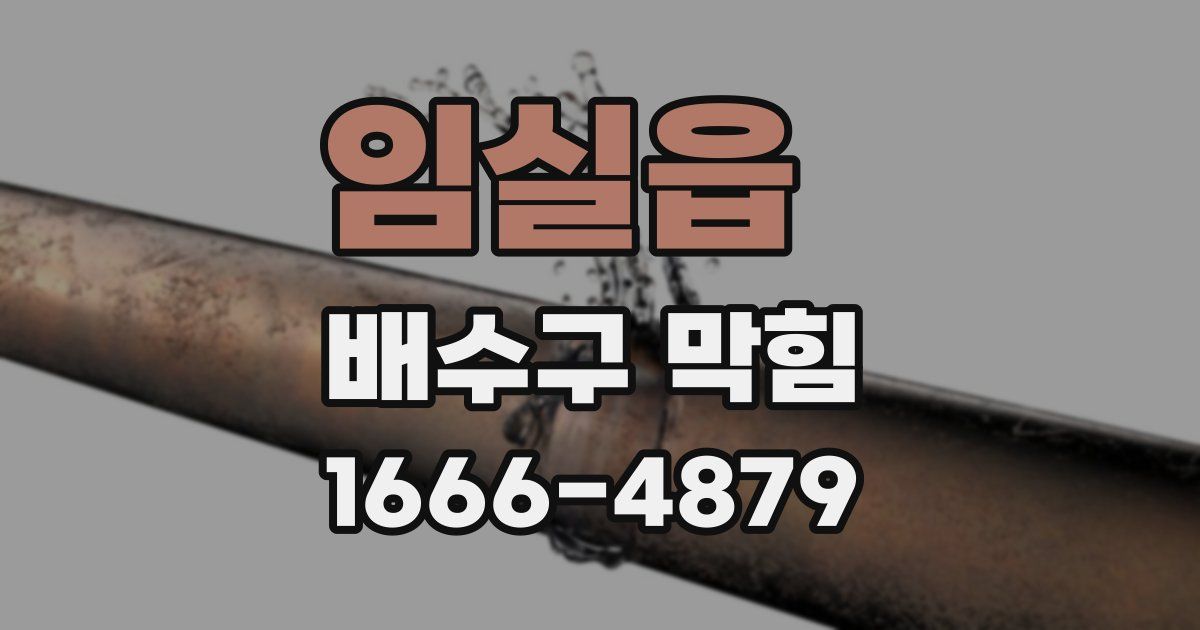 임실읍 배수구 막힘