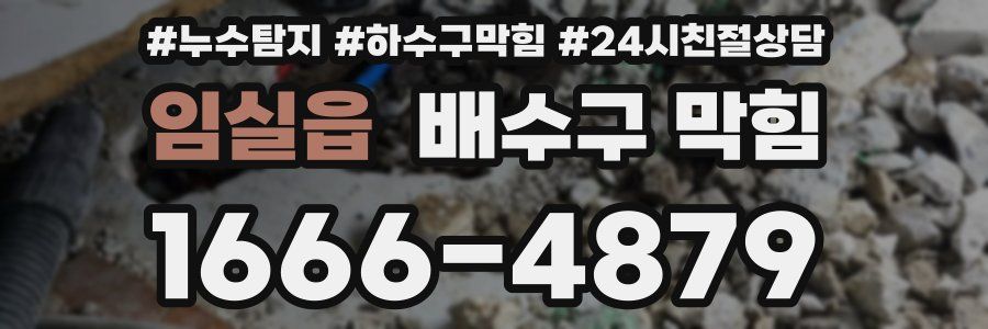 임실읍 배수구 막힘