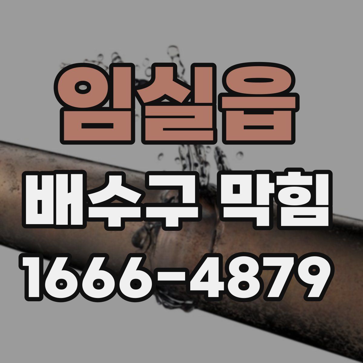 임실읍 배수구 막힘