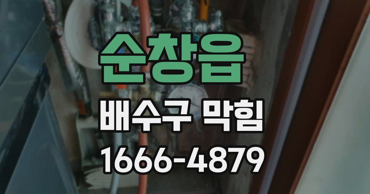 순창읍 배수구 막힘