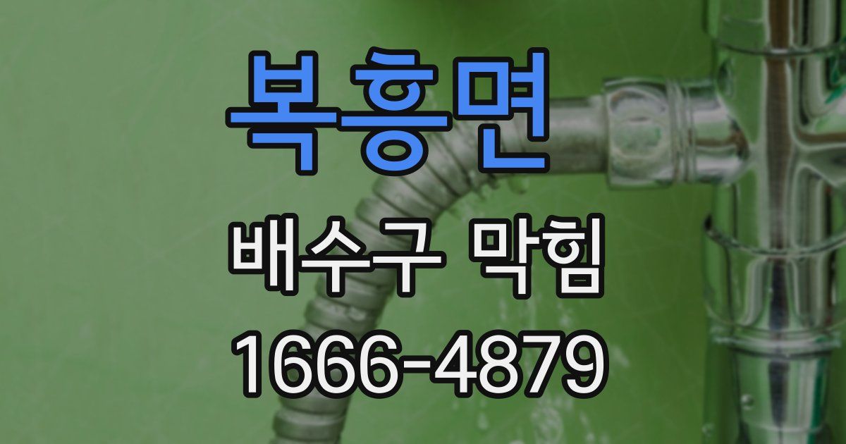 복흥면 배수구 막힘