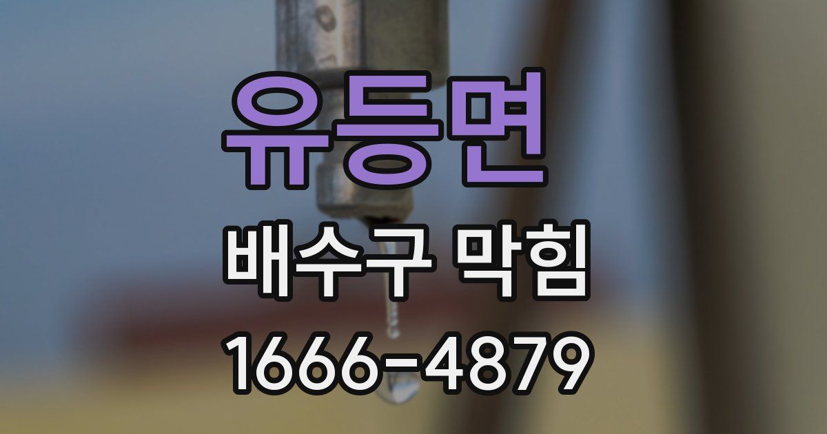 유등면 배수구 막힘