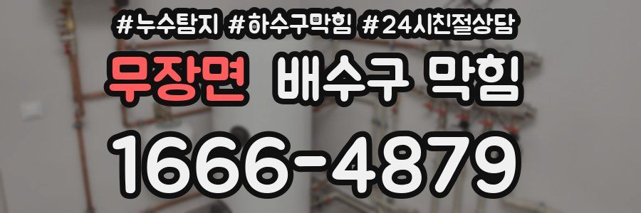 무장면 배수구 막힘