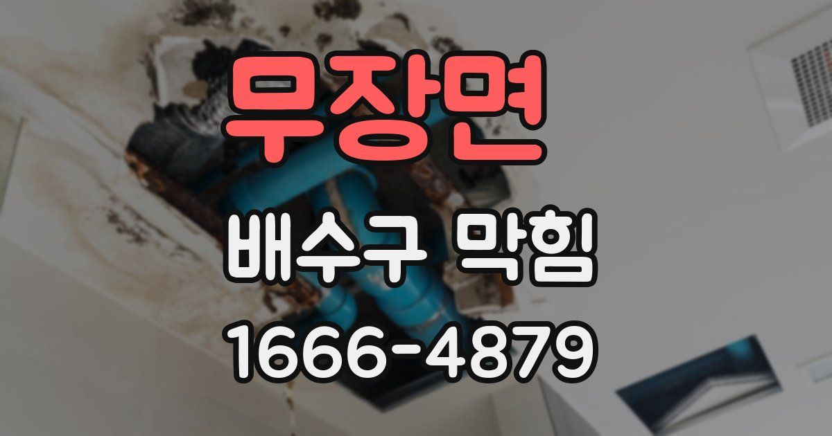 무장면 배수구 막힘
