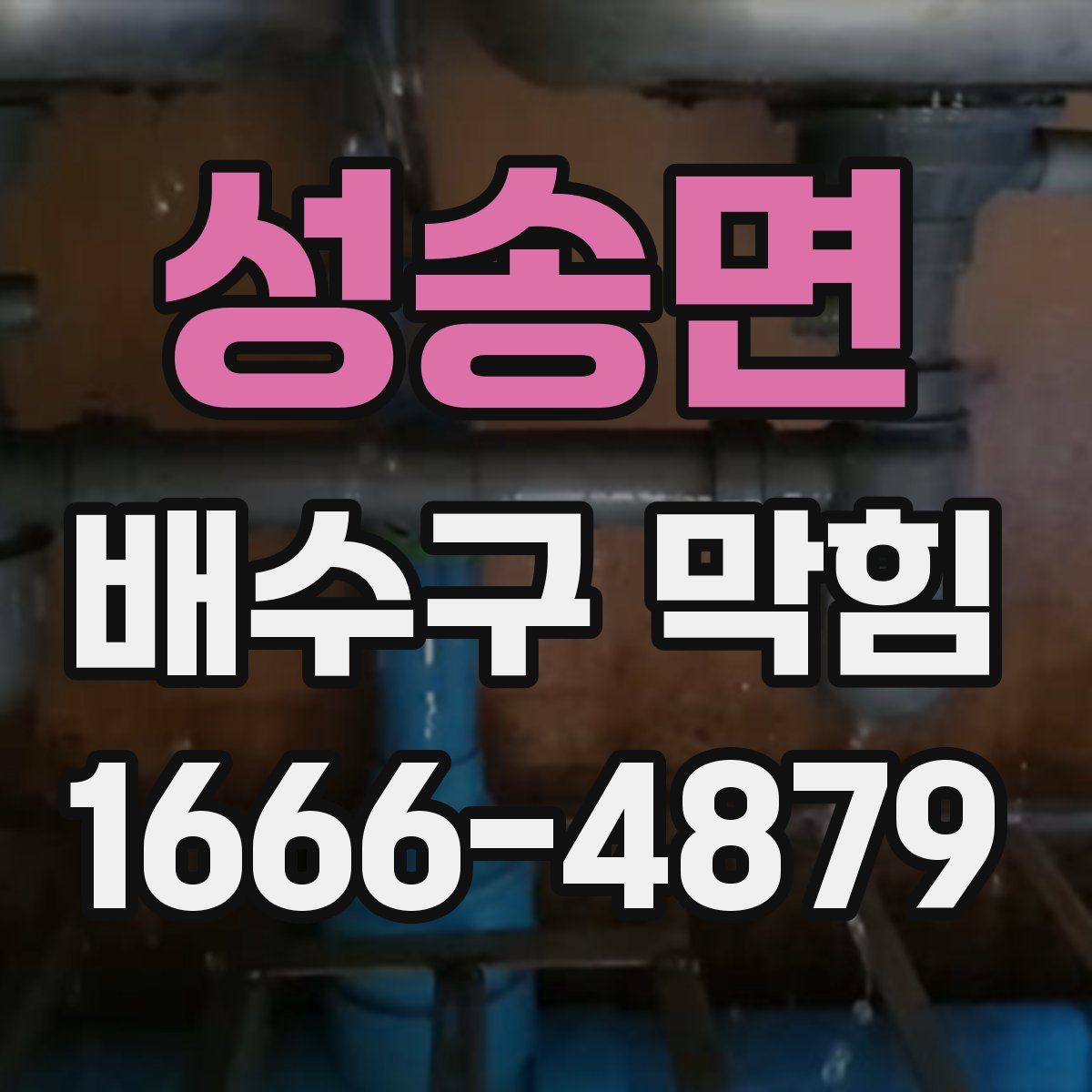 성송면 배수구 막힘